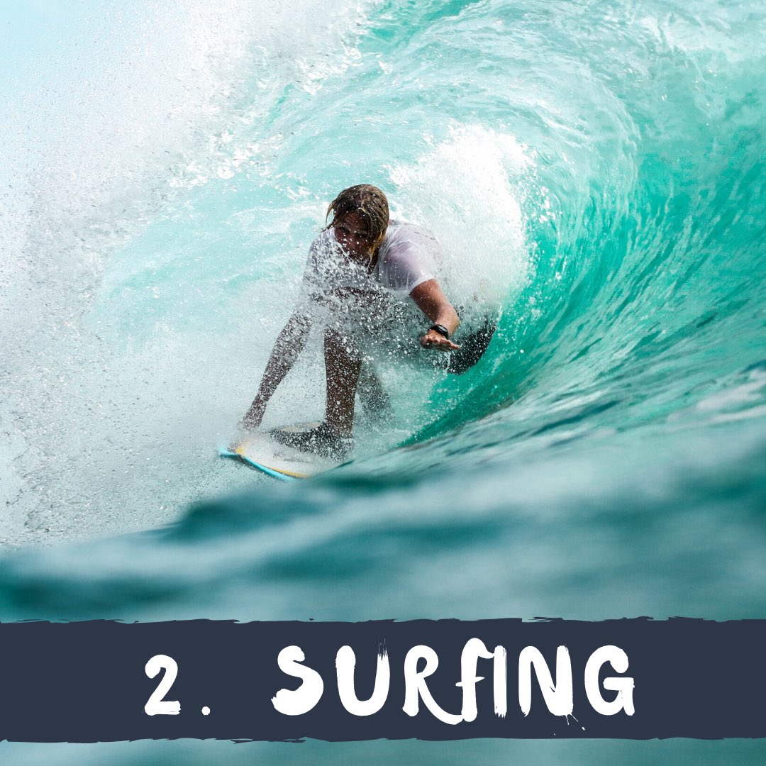 Try Indigo tweet media