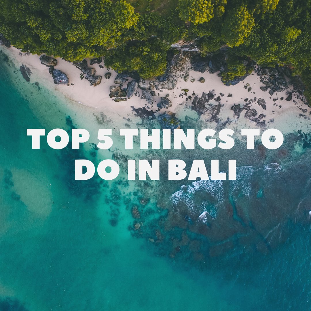 Try Indigo tweet media