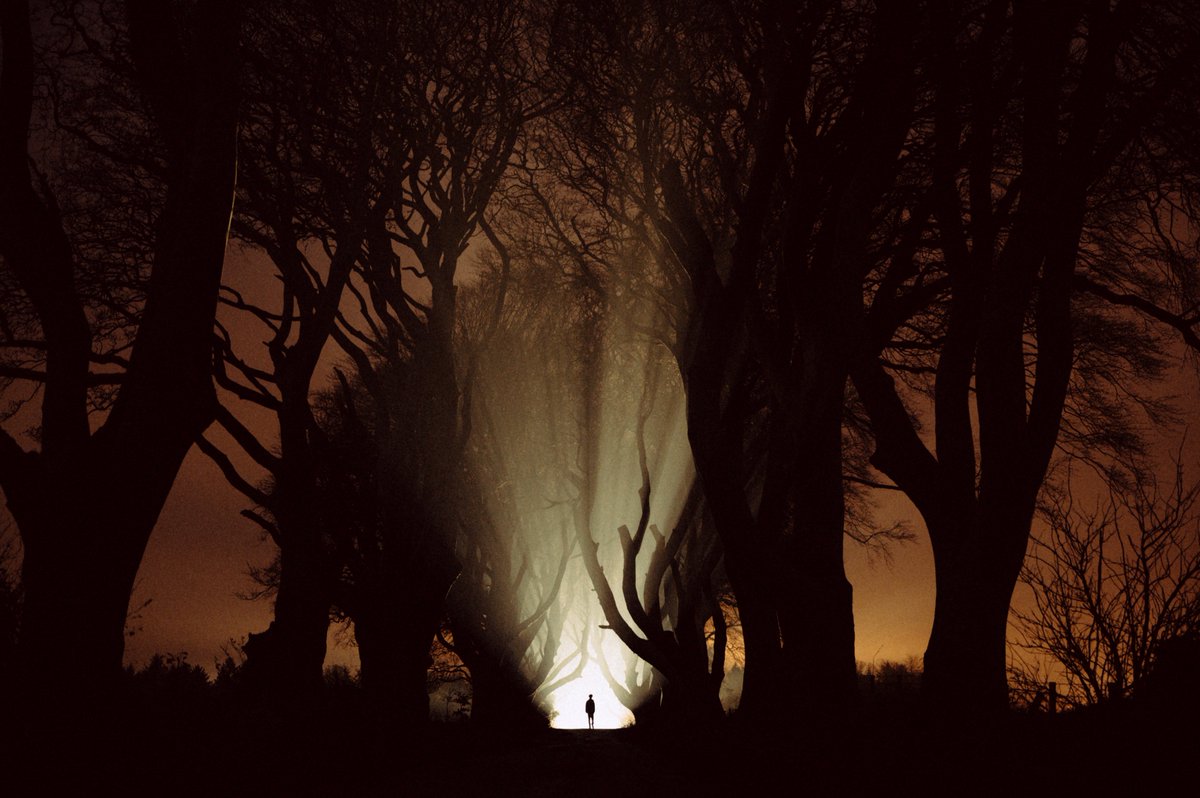 jonathanbertin's tweet photo. Plus de 3 heures à shooter dans la pénombre pour décrocher ce cliché de la célèbre allée d'Irlande du Nord, The Dark Hedges. Je suis tellement fier du résultat, rien de tel pour boucler 2019 💥

insta: jonathanbertin https://t.co/keJKvNskF2