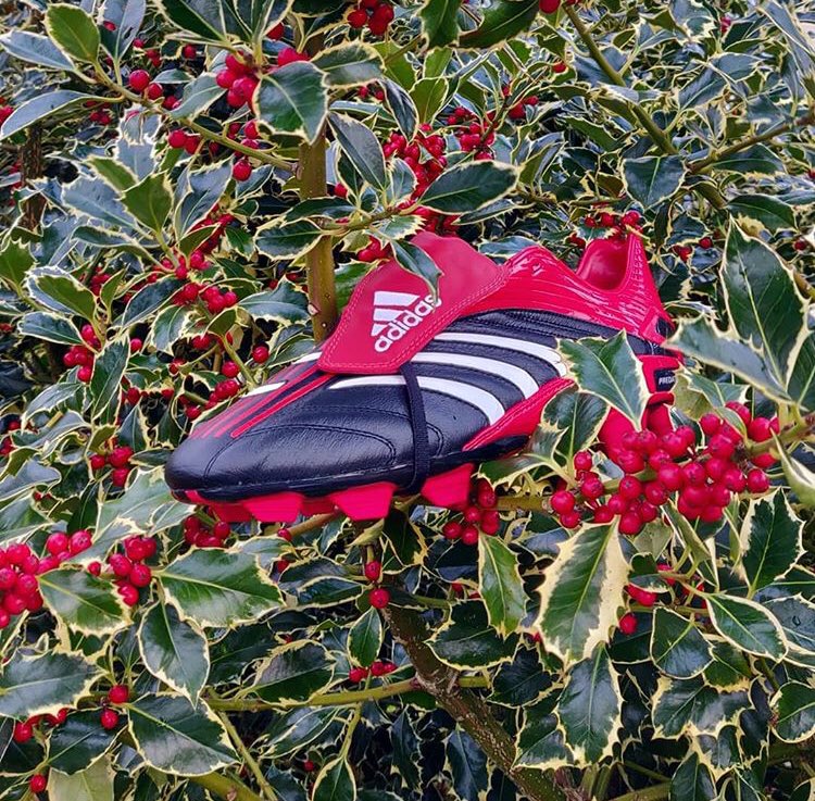 Retrobootsie's tweet photo. 🍒 Ripe and juicy, ready for picking!
_______
#adidas #predator #absolute #adidaspredatorabsolute #adidaspredator #predatorabsolute https://t.co/scEqkkzaiT