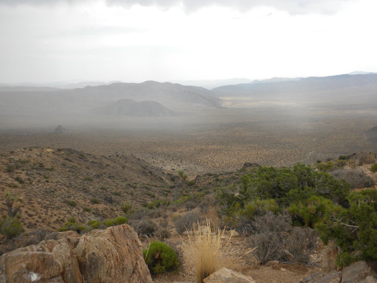 manuelacasasoli's tweet photo. The #RyanMountain and the #LostHorseMine trails offer an impressive panoramic view of the Joshua Tree National Park with its jumble of rock formations and unique “trees”.
#hiking
#JoshuaTree
#California
@JoshuaTreeNPS
👇
https://t.co/NfiNBmQ9ko https://t.co/EWPOw9EAc2