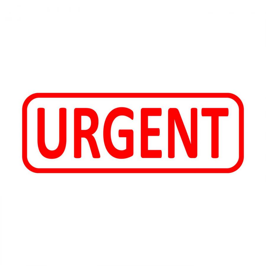 Respectons's tweet photo. #URGENCE #FAMILLE D'ACCUEIL !
2 #chats adultes ( un blanc poils longs et un noir et blanc ) se retrouvent sans solution demain ! Mathilde 0783262471 ou Patrick 0607656072 #sauvetage #chat #FA #IDF #dep89 #animaux #protectionanimale #urgent #Merci du RT https://t.co/IRxidaeDwN