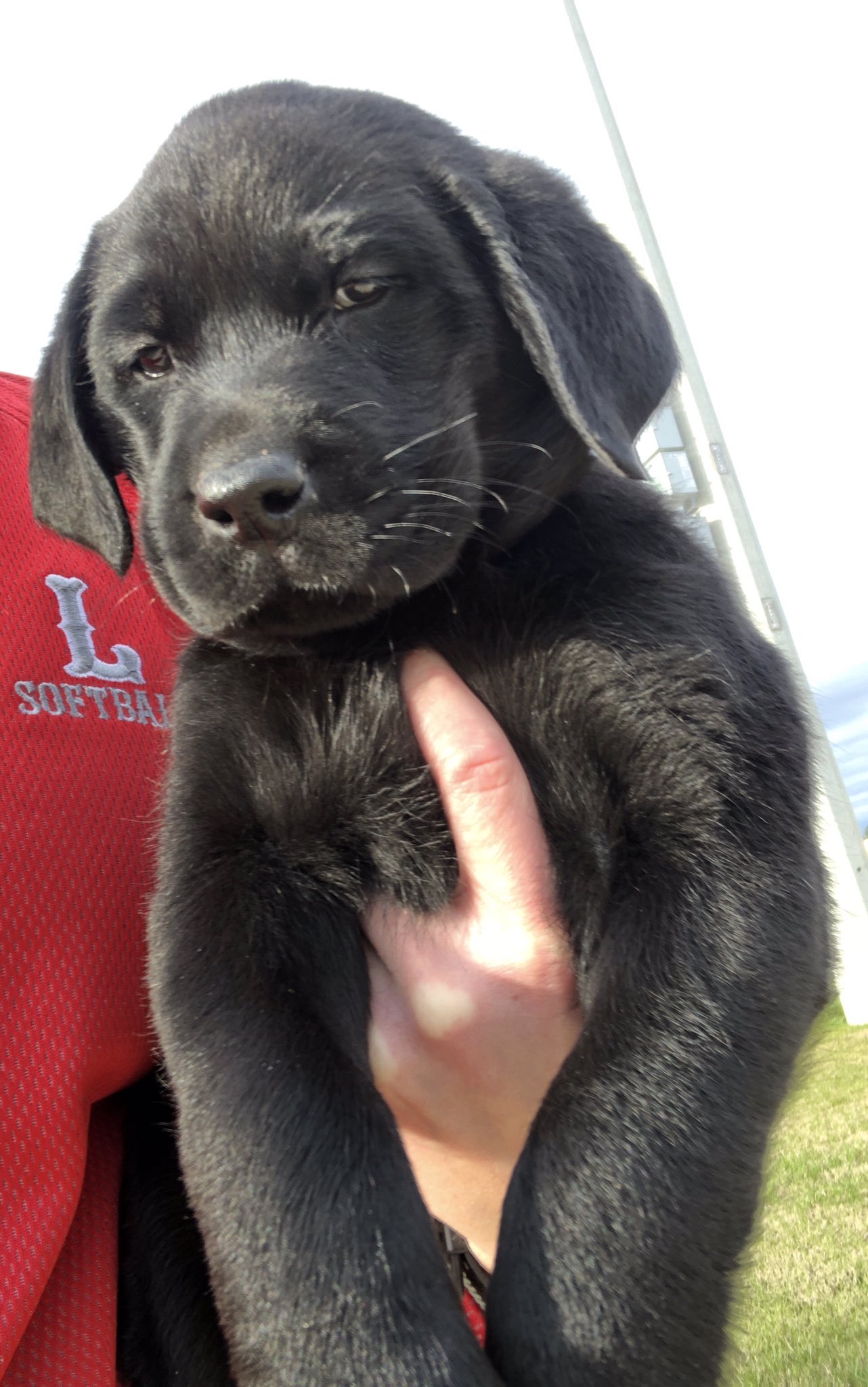 Happy 1st Birthday to Lebron James Hensley! 3 days apart from 