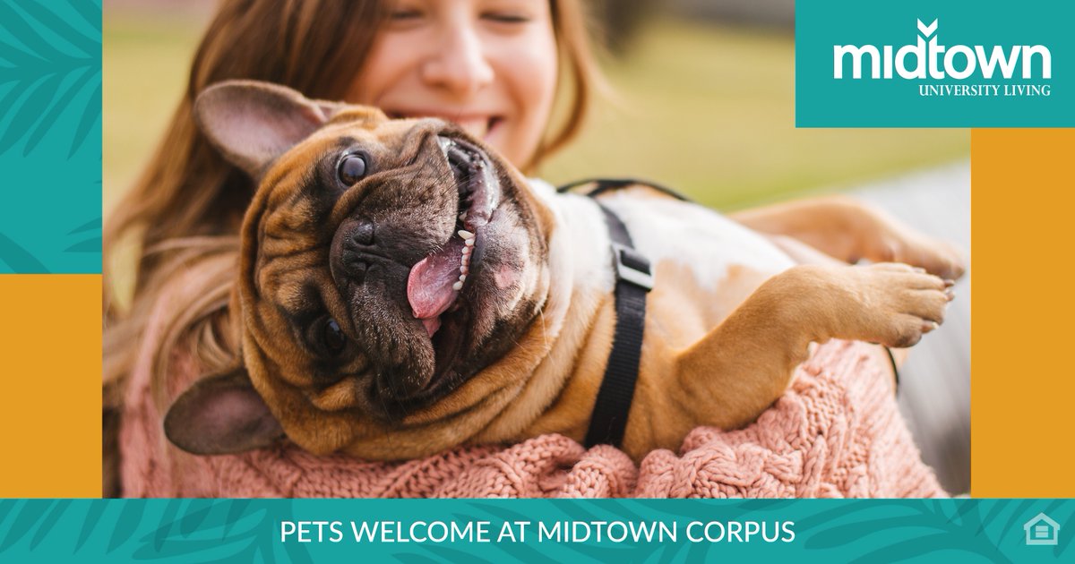 MidtownCorpus's tweet photo. Now you can enjoy stellar amenities in a great location with your best buddy by your side. At Midtown Corpus, we are proud to be pet-friendly! Bring along your furry friend to our Corpus Christi student-living community. https://t.co/PXg08G8Lrg https://t.co/rBPTRvgNPI