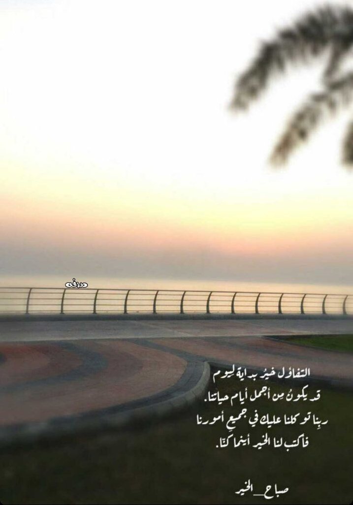 maha_mohamed11's tweet photo. #صباح_الخيرᅠ https://t.co/KR8aAaOZ2v