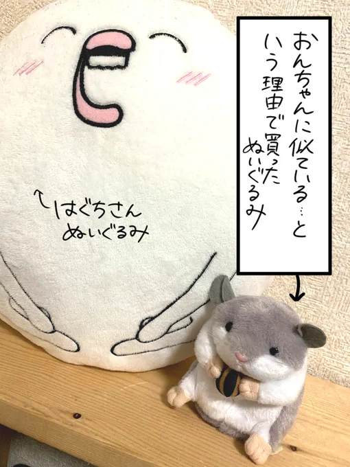 金ちゃんとネーミングセンスの話 