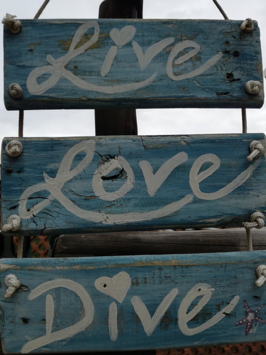 If your ideal tourism experience involves water and adventure, then look no further than Umgababa South of Durban. This is your access point to the world famous Aliwal Shoal Marine protected area, a snorkelling and scuba diving haven and a must for shark lovers. 
#scubadiving