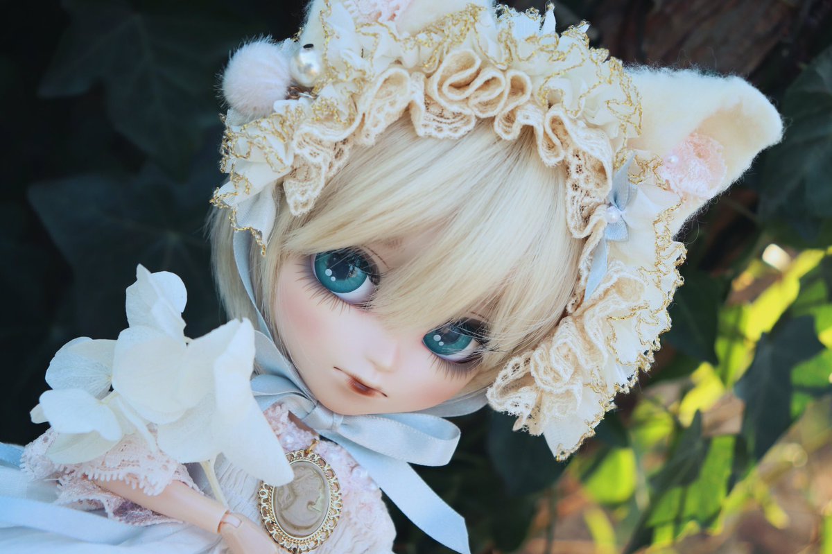 イスル生誕祭 Twitter Search イスル生誕祭 Twitter Search
