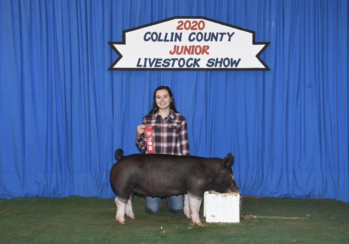 wakelandffa's tweet photo. Nothing better than show day 🐷 #whsffa #fisdlivestock @WakelandAccess @WakelandHS https://t.co/1xVI0NYFEb