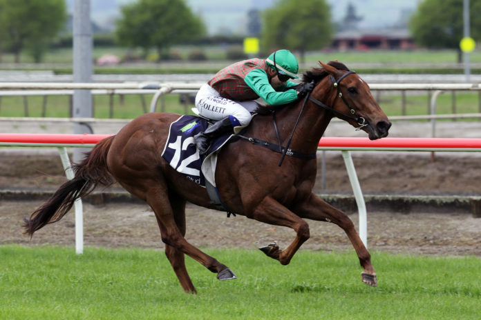 Congrats to Col &amp; Ian MacRury, Ben Foote and Sam Collet on a fantastic G1 win with super 3YO #TravellingLight in the Levin Classic <a href="/WgtnRacing/">WellingtonRacingClub</a> .... crediting her sire  #ElRoca with his first Group 1 winner #classact #woohoo