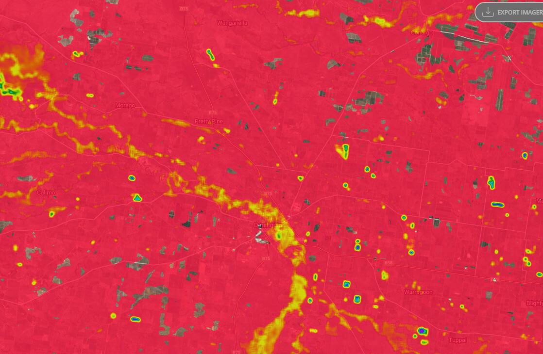 James Challis tweet media