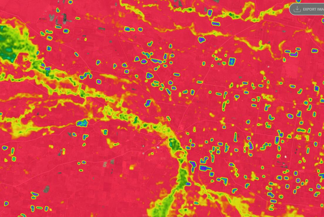 James Challis tweet media