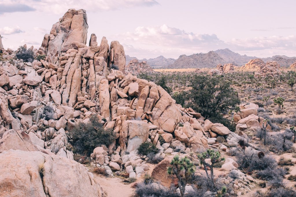 JHumphries__'s tweet photo. Joshua Tree National Park🧗🏻‍♂️ https://t.co/PoSNw2rlWF