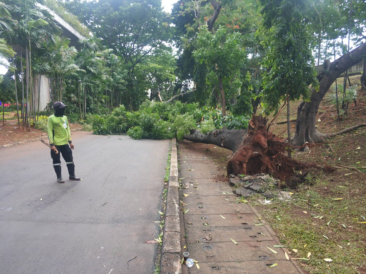 11.36.Pohon tumbang menutup jalan lokasi kolong pancoran #JKT masih dalam penanganan petugas <a href="/aniesbaswedan/">Anies Rasyid Baswedan</a> <a href="/BPBDJakarta/">BPBD DKI JAKARTA</a> <a href="/RadioElshinta/">Radio Elshinta</a> <a href="/TMCPoldaMetro/">TMC Polda Metro Jaya</a>