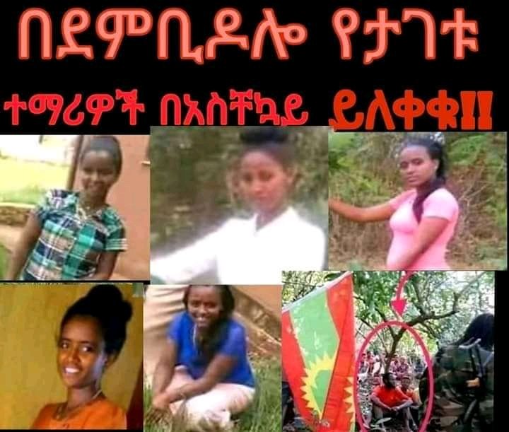 Authorities, religious leaders, political parties, journalists, activists, women &amp; rights groups haven't yet condemned the kidnapping of 14 Amhara girls in Ethiopia. 

AMHARA lives doesn't matter, to all these groups, right?

#BringBackAmharaGirls
#BringBackOurGirls