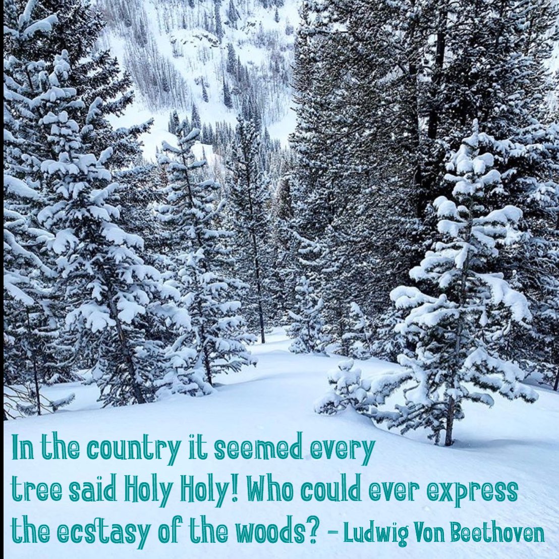 Thanks for the pic <a href="/soberandstoked/">Sober and Stoked</a> at <a href="/beavercreekmtn/">Beaver Creek Resort</a>