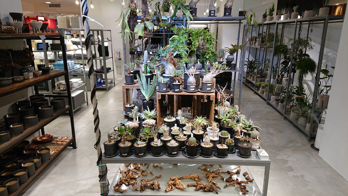 植木屋21