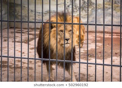 Patrick Daly (@patrick_daly11) on Twitter photo 