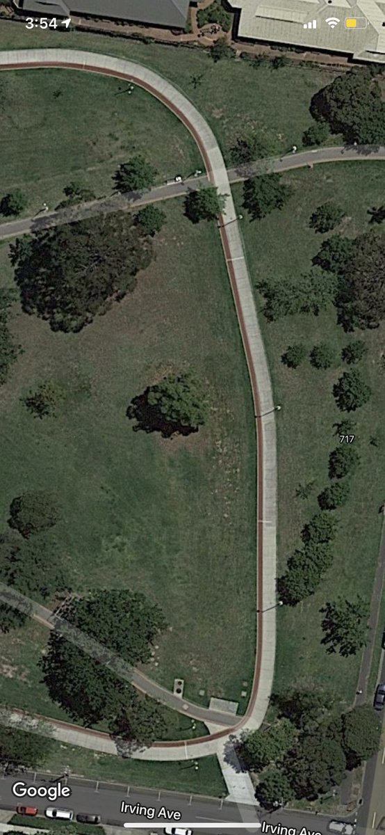 Sean Whipp tweet media