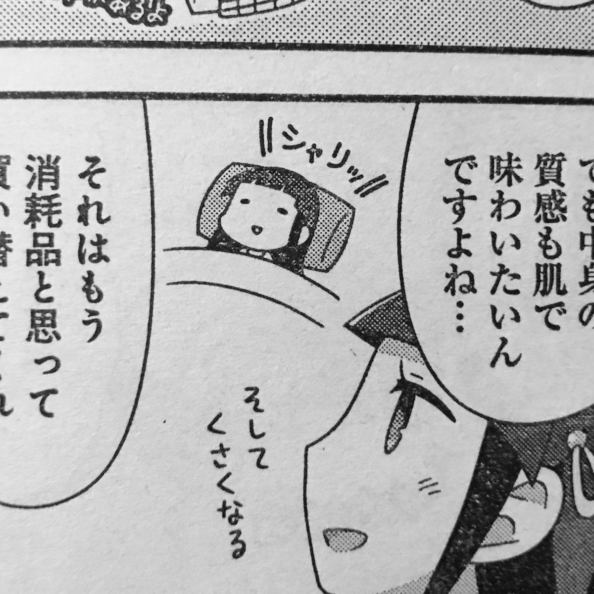 今月のライオリは単行本発売直後のあやっぺが2本立て!すごい!そして鬼桐さん(画像は茶子ちゃん)が今月も可愛いです。毎月楽しく読んでおります。描いててよかった…(貰えるから…) 