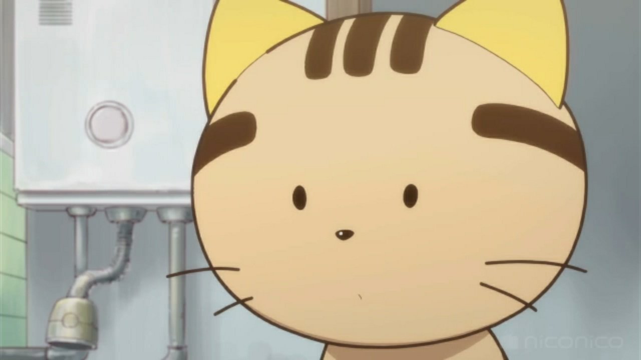 Kebiyama アニメ 3丁目のタマ うちのタマ知りませんか のトラウマ回として有名な まつりばやし にて湯沸し器を確認 子供向けなのに遺体や流血シーン 子猫の死など表現されていて悲しいお話なんですよね T Co Bmbt6sj98r Twitter