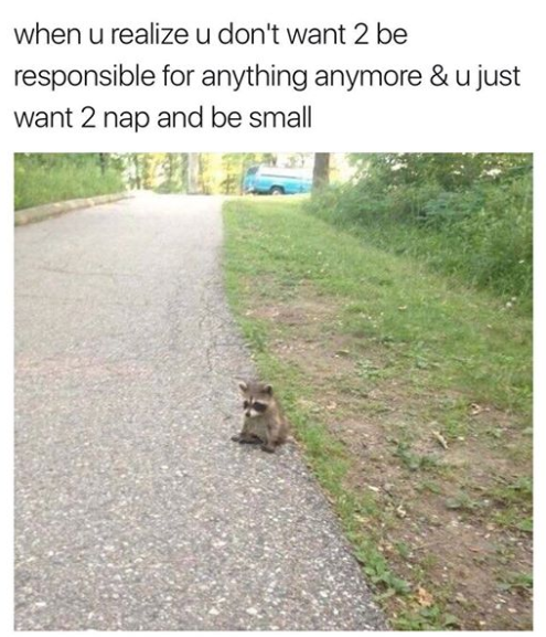 BlackMilkTweets's tweet photo. Adult life.. https://t.co/wp7veEe5Iv