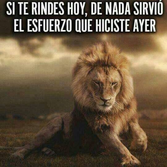 Dolores Cervantes tweet media