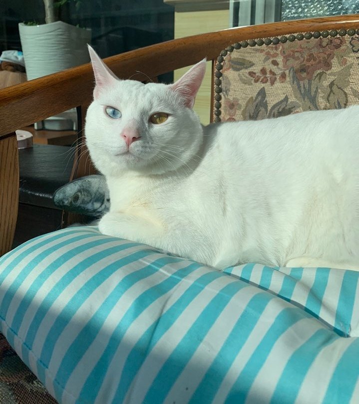 미남이구만❤❤