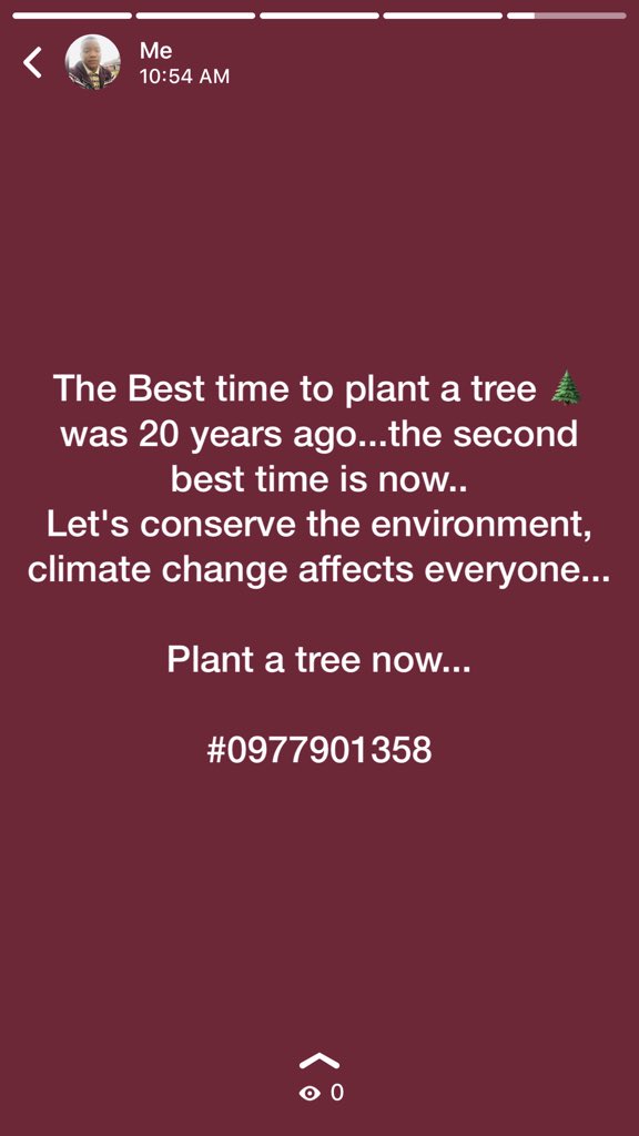 MusengeBrave's tweet image. Plant a tree now...climate change affects everyone