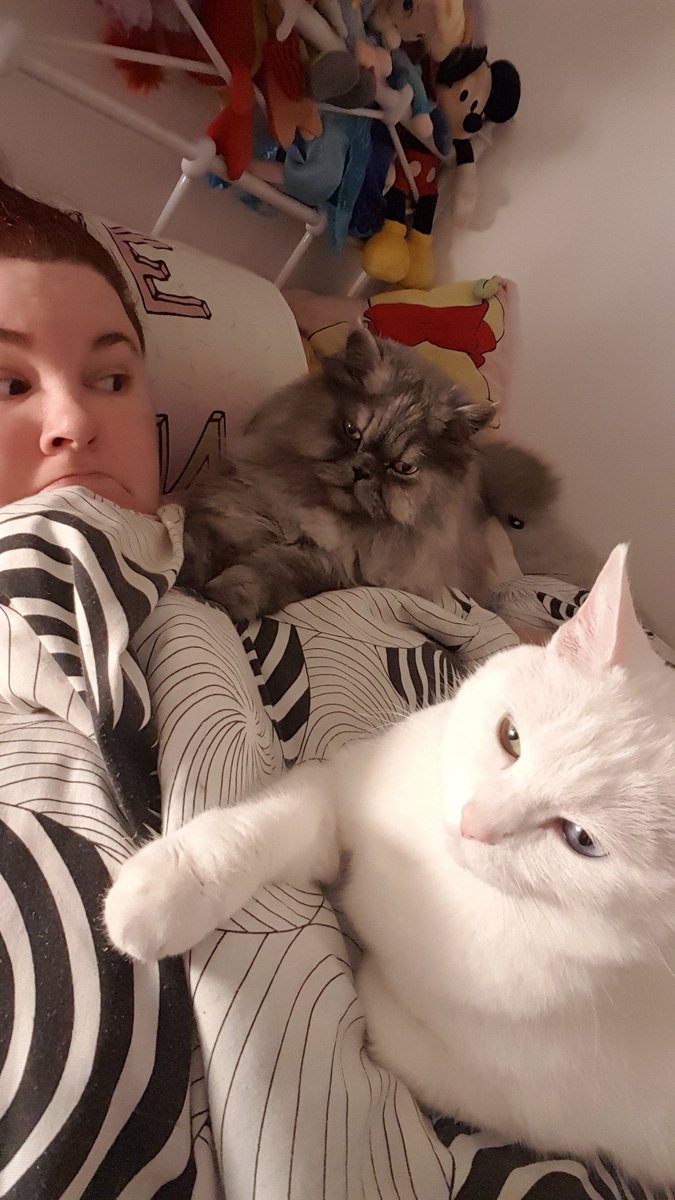 postichon's tweet image. Hier soir Joliesoeur faisait calin bidon à Moman et j'ai décidé de vouloir faire calin aussi donc j'ai fait calin épaule à Moman et même que Joliesoeur elle m'a même pas crier et on a fait un calin tout les 3 d'amour d'amour !
Moman elle avait peur qu'on se dispoute commême!