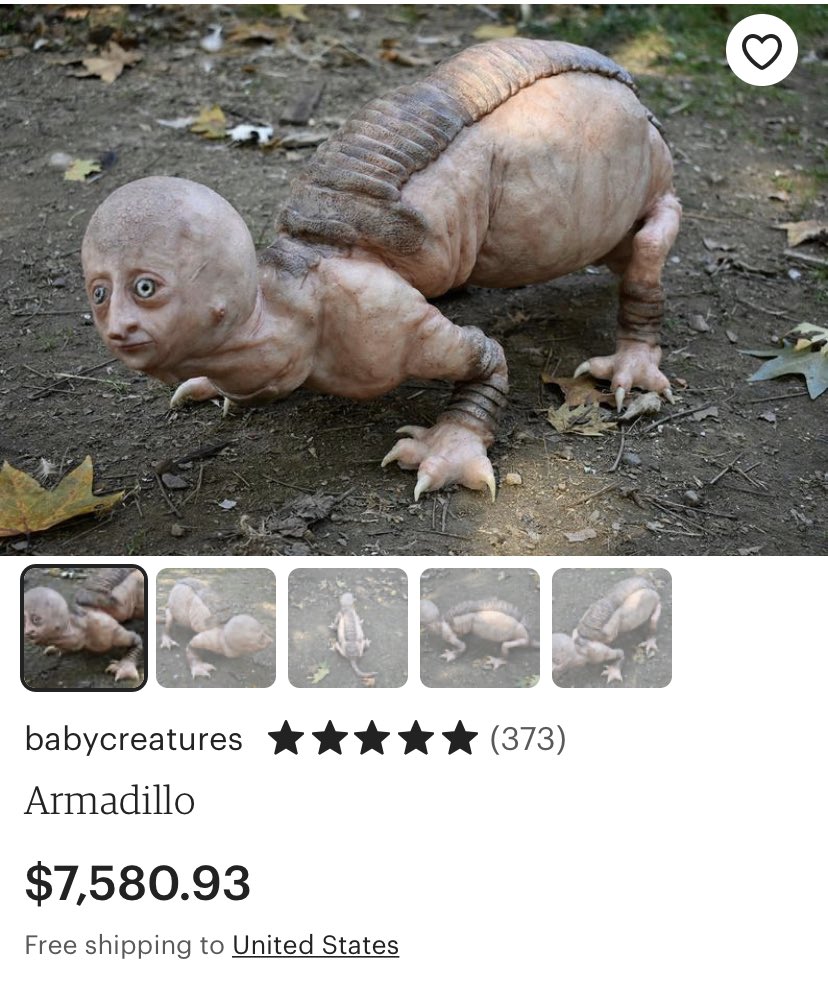 unclehunter1974's tweet photo. armadillo https://t.co/2bYLntFvGg