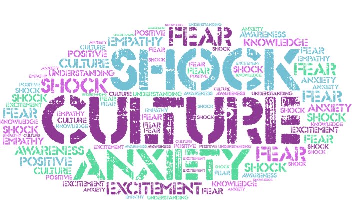 “Play it by ear”... “it’s a rip off”... English Idioms can make intercultural communication a challenge. 10GR MELS discussing Culture Shock.