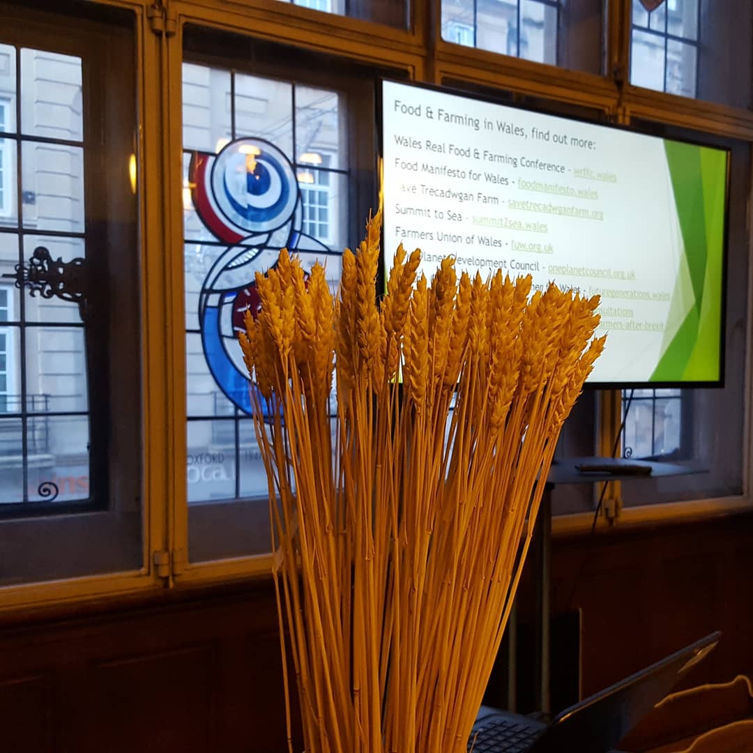 pembscook's tweet photo. Welsh food &amp; farming session ready to go in St Aldates Room @ORFC. Join us to hear from @janebrynonnen @maniffestobwyd @LandworkersUK @CaerhysCOCA @wrffc19 #ORFC20 https://t.co/7Yc6PTiZFH