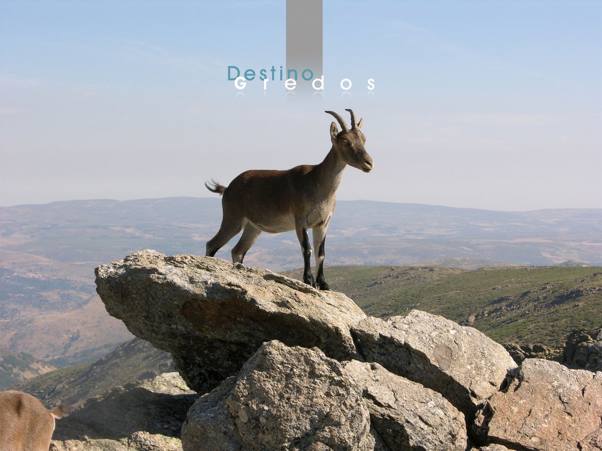 ¿Sabes lo que es el #PactoporlaRepoblación? Desde ahora vas a oír hablar mucho de él. No estamos dispuestos a rendirnos y que nuestros pueblos desaparezcan por la desidia de unos y el interés económico de otros. ¡Vamos a por todas! ¿Contamos contigo? Seguro que sí. @PRepoblacion