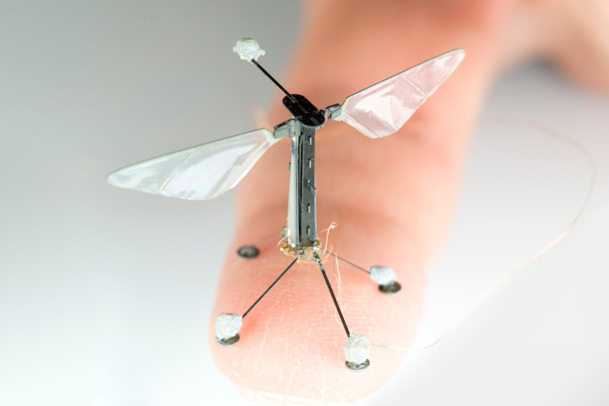 robobees tweet media