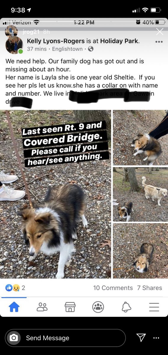 BarstoolHubbs's tweet photo. My friend from back home in Central Jersey had their family dog go missing. If you’re in the Manalapan area try and be on the look out for Layla. https://t.co/PIZeL9c7sw