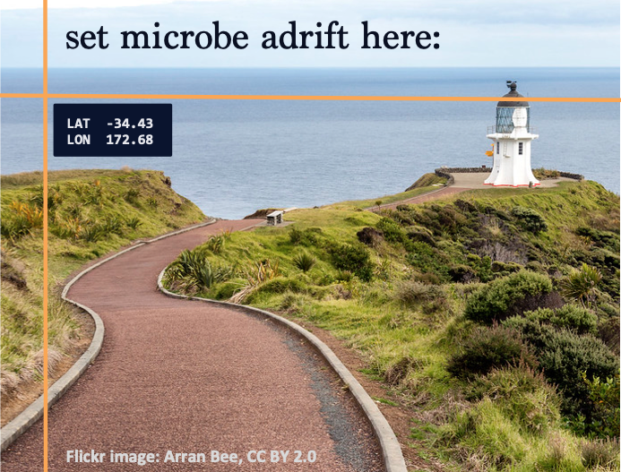 adrift_project's tweet photo. The northernmost tip of New Zealand splits the Tasman Front current in two. Does it divide equally east &amp; west? You can find out! Set virtual marine microbes adrift northeast of Cape Reinga and see where they go. Map this or another ocean current today at https://t.co/kgcWEijcc6 https://t.co/nUuK8m4HYl