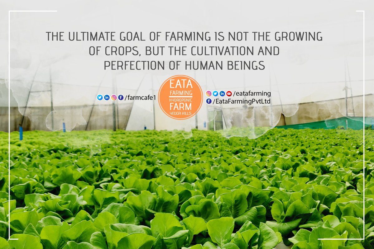 FarmCafe1's tweet photo. #organicfarm #organicfoods #friendlyfarming #organicfoodinindia #onlyfororganic #eatyourvegetables https://t.co/E9jz5C0Xko