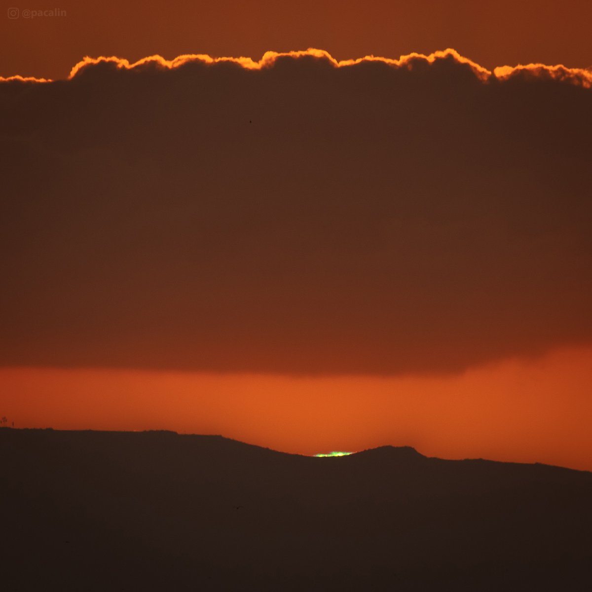 Pauline Acalin tweet media