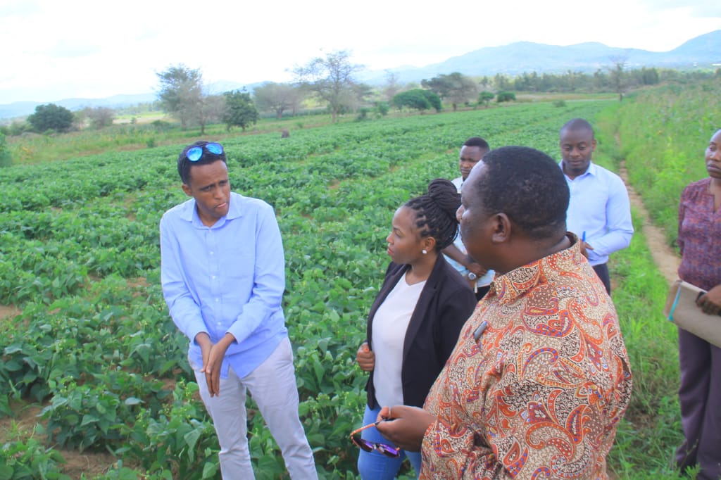 EatFresh tweet media