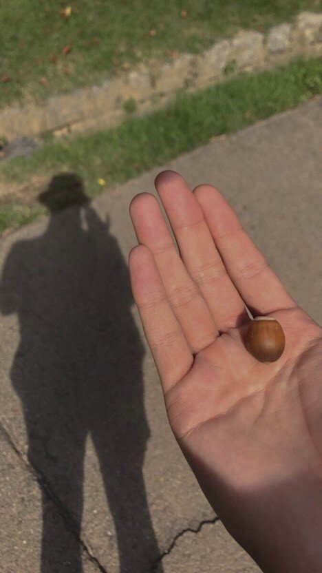 손에서 눈을 뗄수없는 짤 주인공 손이에요 아시조