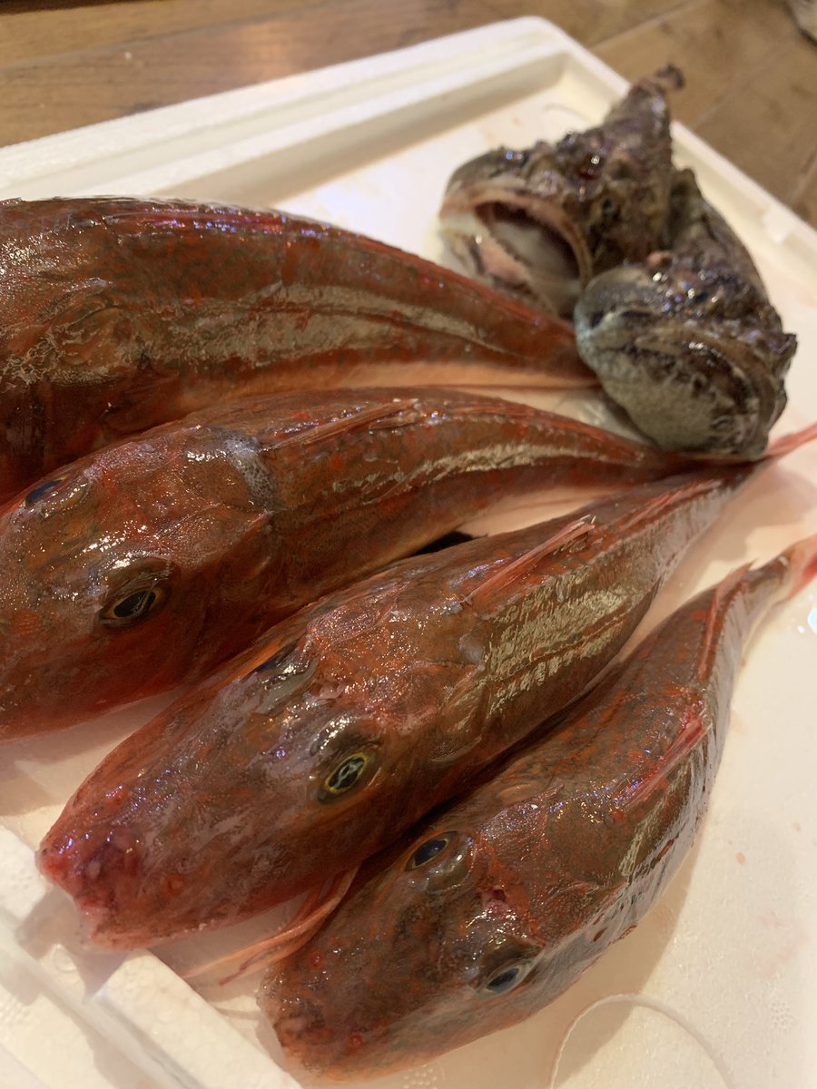 宮城漁師酒場 魚谷屋 V Twitter 魚谷屋魚介販売部 本日は ホウボウ ボッケ ケムシカジカ ホウボウは塩焼きで ボッケは美味しい出汁が出るので ぶつ切りにしてお鍋やお味噌汁にするのがオススメ 宮城漁師酒場 魚谷屋 V Twitter 魚谷屋魚介販売部 本日は ホウボウ ボッケ ケムシカジカ ホウボウは塩焼きで ボッケは美味しい出汁が出るので ぶつ切りにしてお鍋やお味噌汁にするのがオススメ