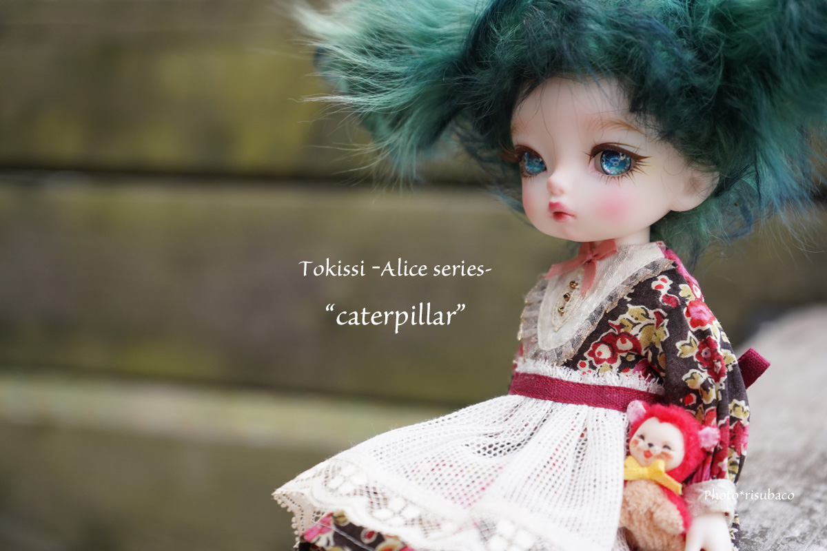 tokissi Aliceシリーズ caterpillar いもむしちゃん tmgghana.com