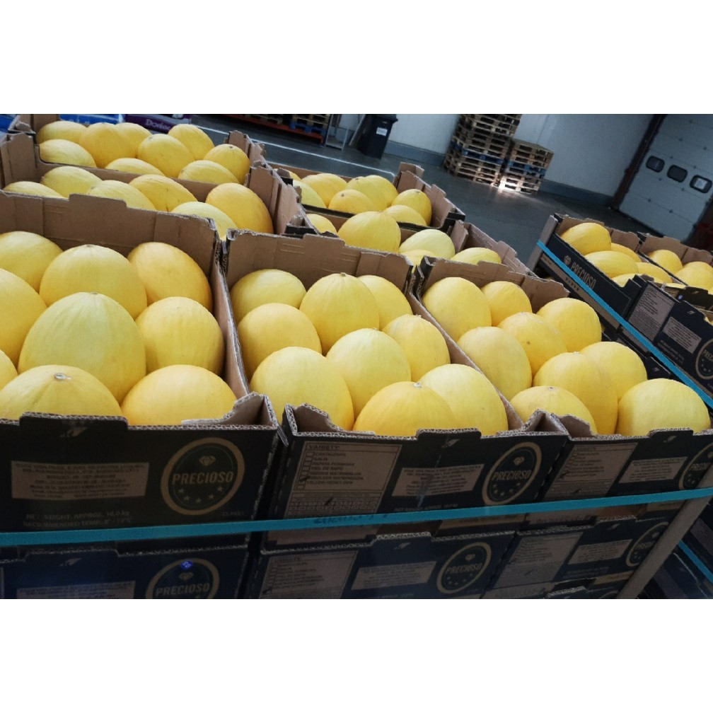 Fresh arrival of honey and watermelons. 🍉 
#fresherandfaster #vitaaleurope #melons #nationwideproduce