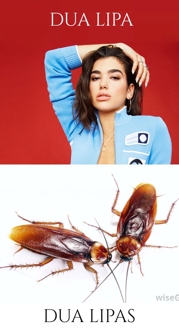 GoodLuckmatRep's tweet image. Know the difference...