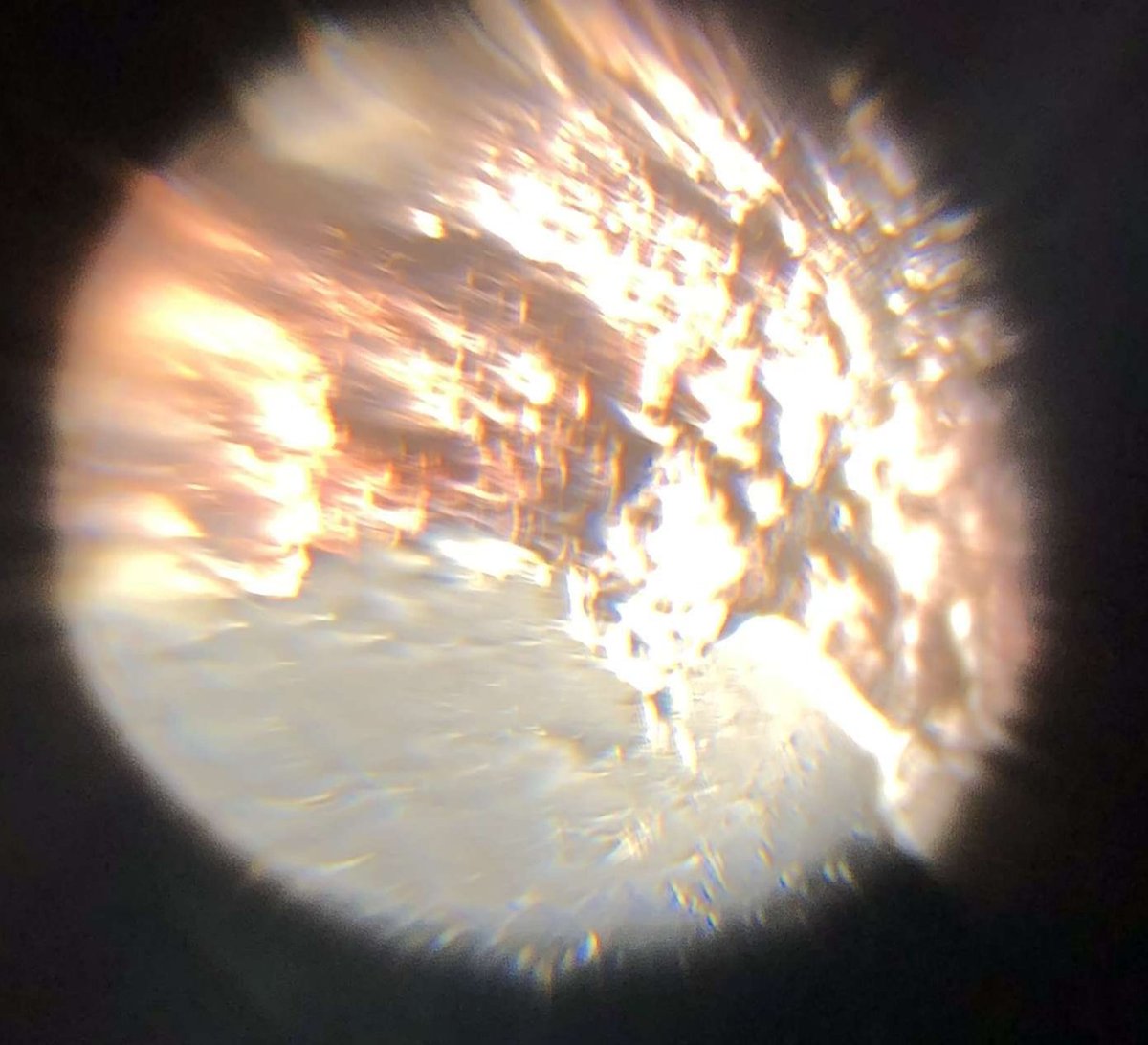 ValerieSavala3's tweet photo. So ummm figuring out the Foldscope was interesting to say the least...so here's some berry stuff. I'm berry proud of it🤪
#BILD1 #Foldscope https://t.co/Qh9I1v52yN