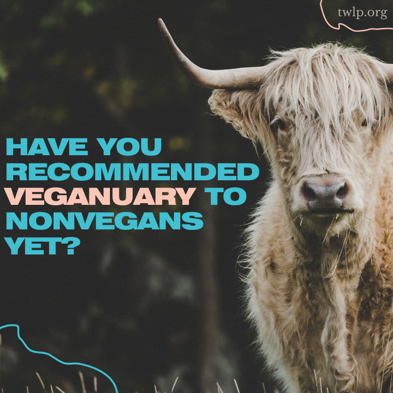 twlp_org's tweet photo. Send your #nonvegan family and friends to https://t.co/16JowjJp3T and help them make a profound decision today.

@veganuary 🐂 💚 https://t.co/6E1CZMp1sh