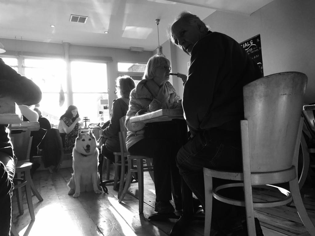 Laxeiro's tweet photo. Gilbert the cat is also dog-friendly.
.
Follow @laxeiro_restaurant for more pictures.
.
.
#doglovers #columbiaroad #laxeiro #meow #wine #winecheck #catsoftheday #catlover #catoftheday #cat #catlove #catsofinstagram #catsofig #catsagram #catlife #cats #catslife #catlovers https://t.co/dLYcO922zn