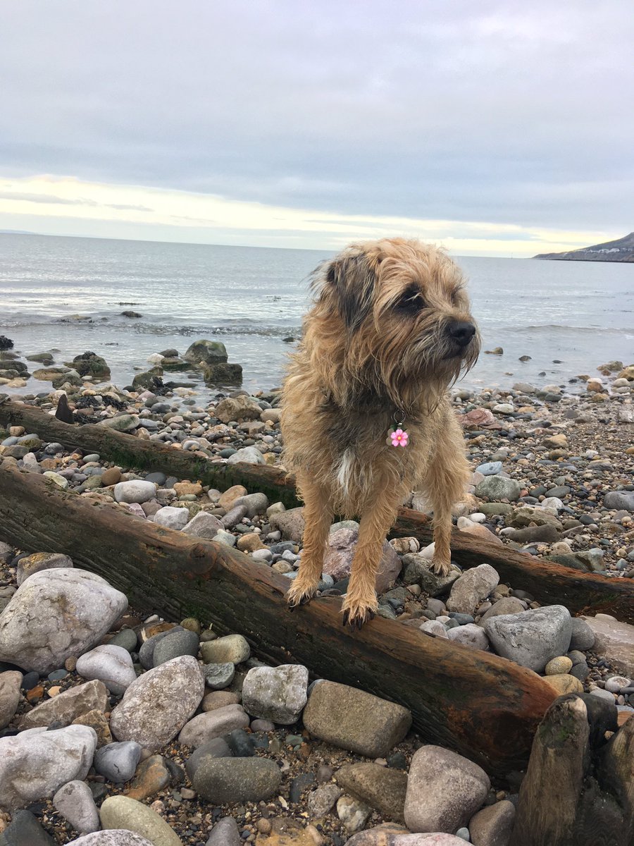 jack_border's tweet image. Went to da beach, it was lots of fun!!!