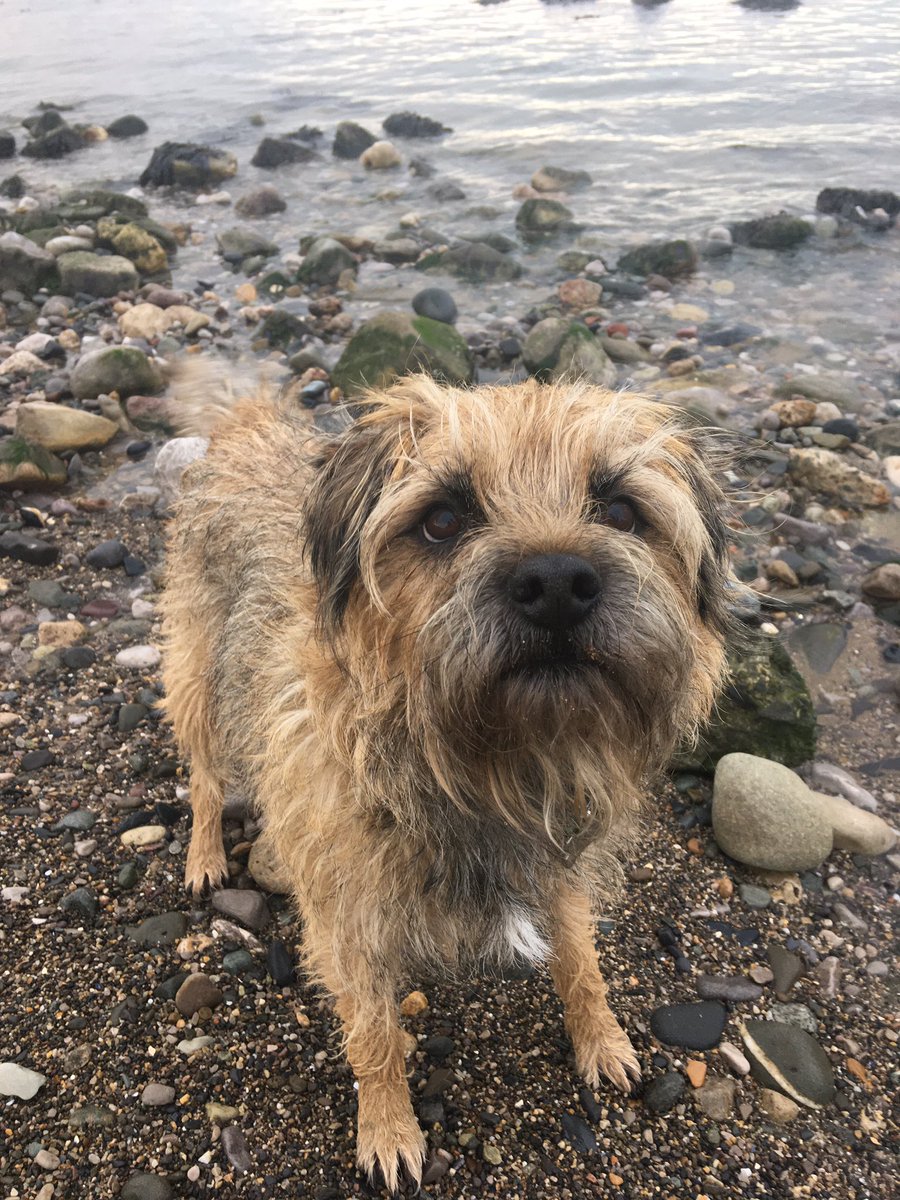 jack_border's tweet image. Went to da beach, it was lots of fun!!!